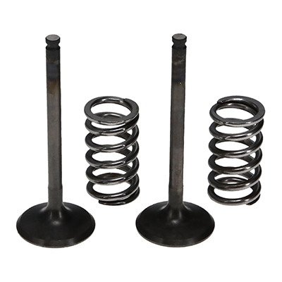 Комплект сталевих випускних клапанів (+пружини) ProX YZ/WR450F '03-09