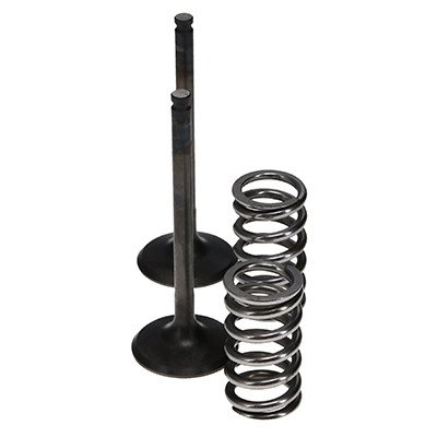 Комплект сталевих випускних клапанів (+пружини) ProX YZ/WR450F '03-09