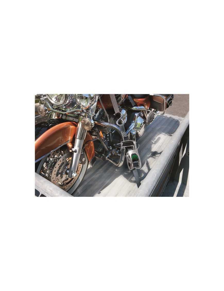 Пояс для транспорту Reese 4м 2шт